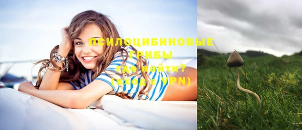 амф Абинск