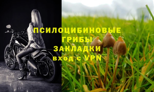 стаф Заволжск