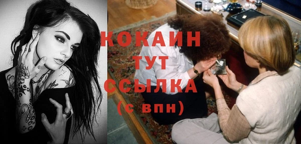 стаф Дмитровск