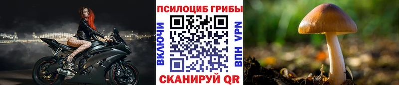 Галлюциногенные грибы прущие грибы  Барнаул 